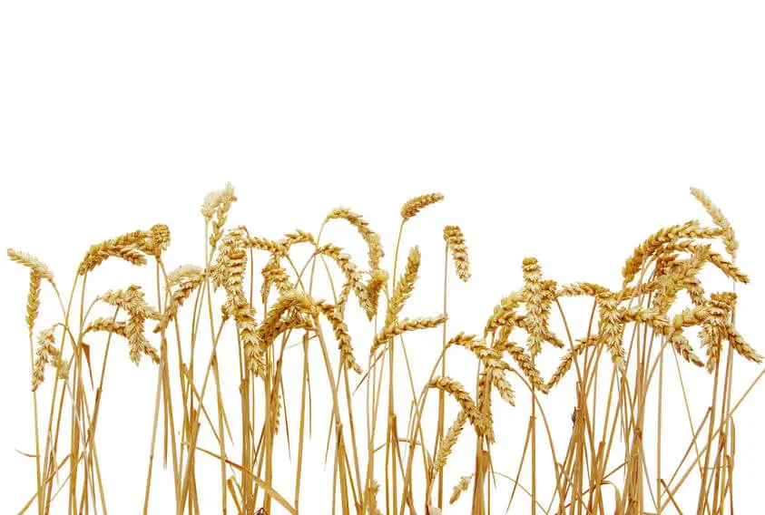 Le service à la campagne Le service pour les foyers isolés