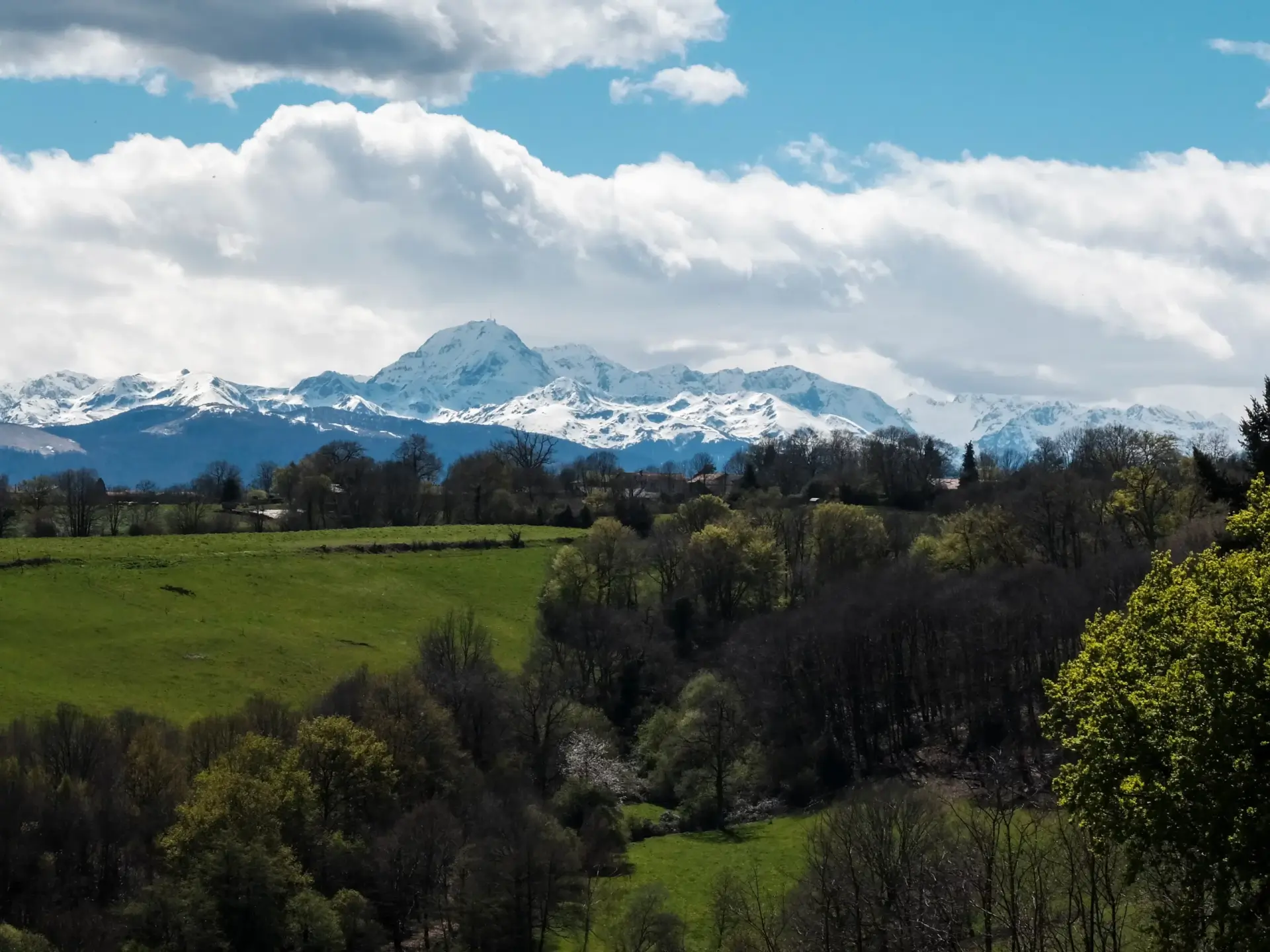 Vue d'Adé - Service de ménage Doxo