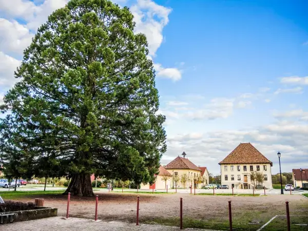 Village de Grandvillars dans la Trouée de Belfort