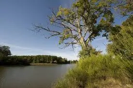Baby sitting et garde d'enfants à domicile à La Ferrière 85280, village du bocage vendéen