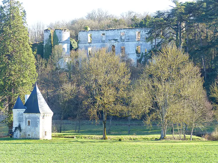 Vue de Saint-Épain - Service de ménage Doxo